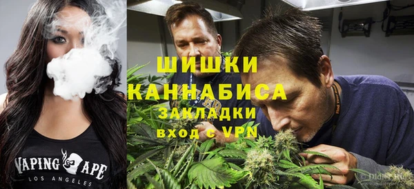 индика Ессентукская