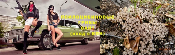 герыч Майский