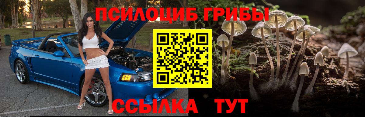 Галлюциногенные грибы прущие грибы Ртищево